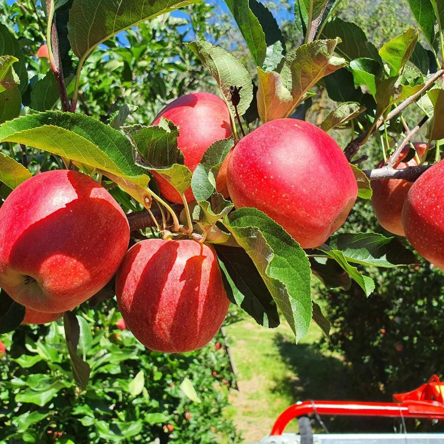 Mareinhof Vetzan-Apples,Apartment&More Silandro Esterno foto